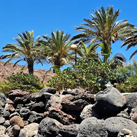 Casa Karo Daire Palm-mar