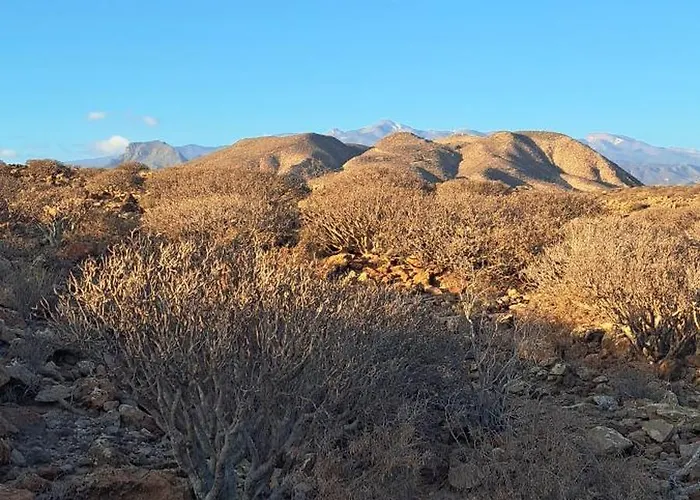 Casa Karo פאלם-מאר